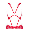 853-TED-3 Teddy rot