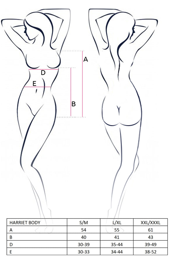 CA Harriet body