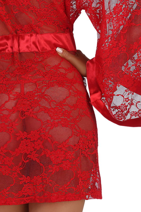 BN Paulette rot