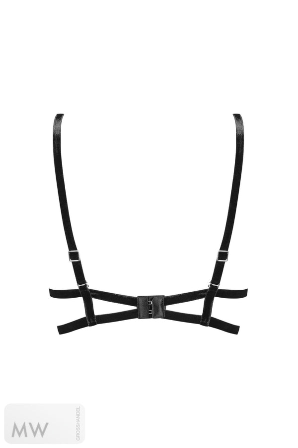 0318 Damen Bügel-BH aus Spitze von Petite Noir